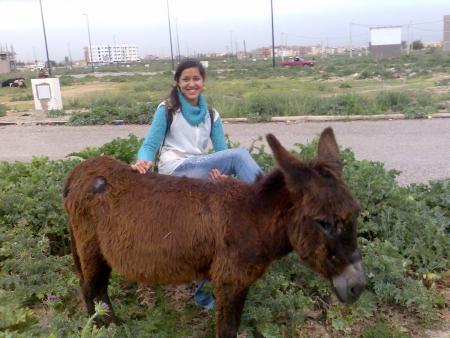 fa9r wachaja3a